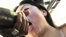 Petite Asian girl can't get enough of a big black rod banging her twat