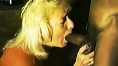 Vintage Interracial Blowjob And Doggy